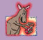 Kangaroo Hunter
